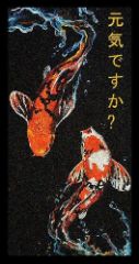 Genki Desu Ka Koi