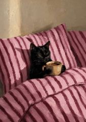 Cat in Bed