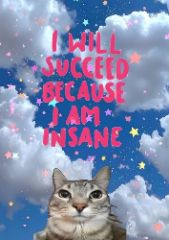 I Will Succeed