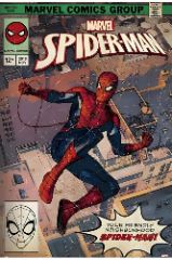 Spider-Man Comic